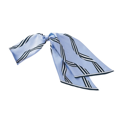 ロングスカーフEAZ709(サックス)