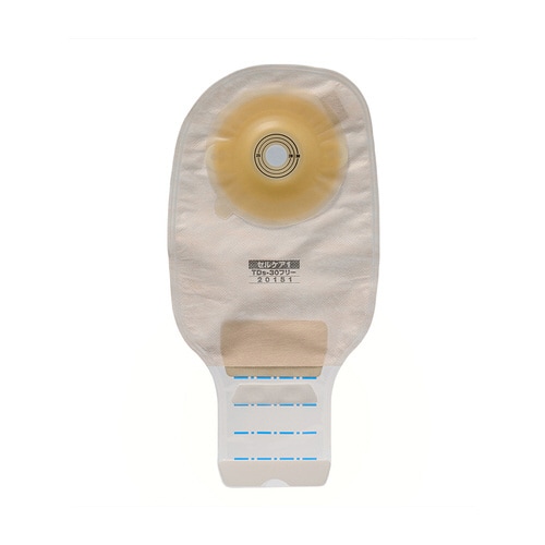 セルケア1・TDs(30フリー)