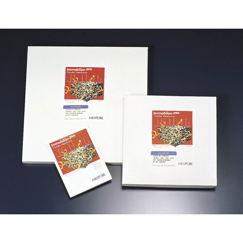 ブロッティングメンブレン IPVH00010