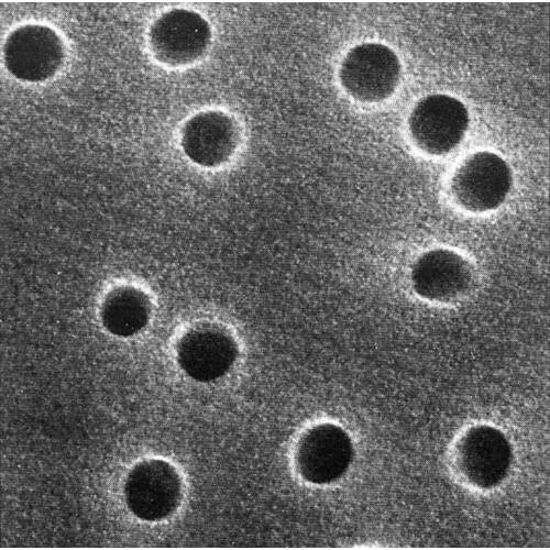 アイソポア・メンブレンフィルタ GTTP04700