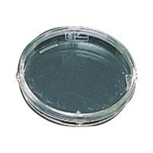 ファルコンペトリディッシュ 1006