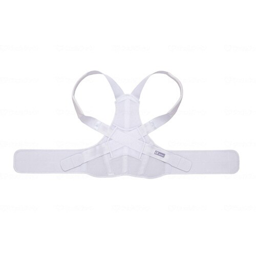 お医者さんのがっちり背すじベルト M−L×2