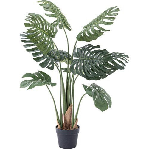 フェイクグリーン モンステラ