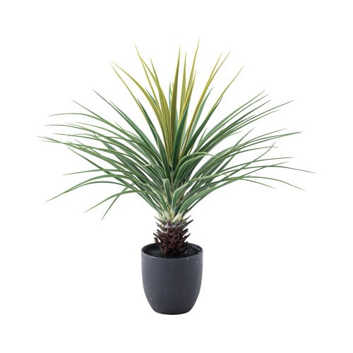 フェイクグリーン ミニパイナップル