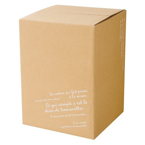 BKFデリバリーカートン−1 10枚