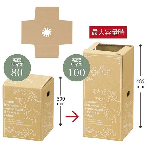 アジャストデリバリーカートン−2 20枚