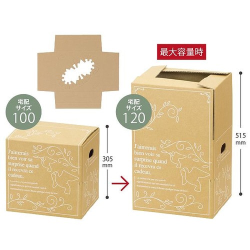 アジャストデリバリーカートン−3 20枚