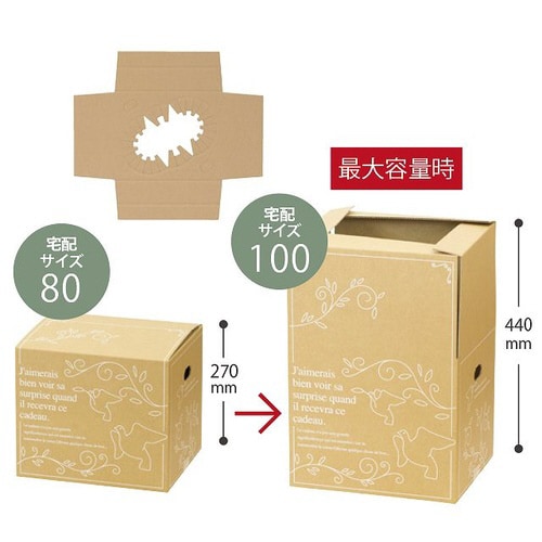 アジャストデリバリーカートン−4 20枚