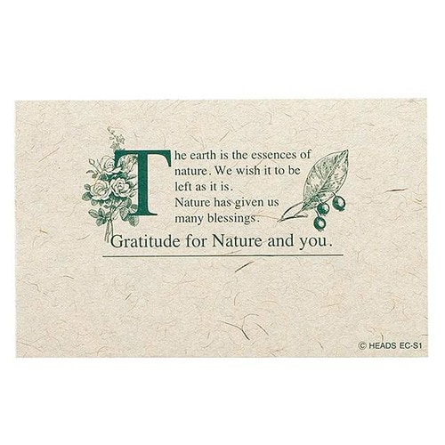 エコロジーメンバーズカード 100枚×3