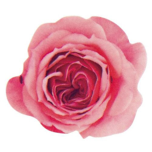 エディブルフラワーケーキピックバラ1 100枚×3