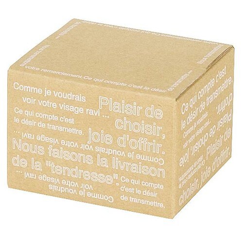 カフェオレカートンBOX−5 10枚×2