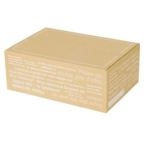 カフェオレカートンBOX−6 5枚×2