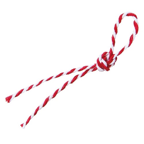 カラフルツインリボン−1/レッド 1巻×10