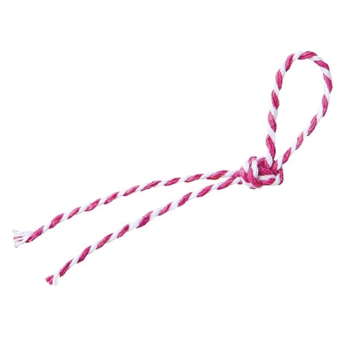 カラフルツインリボン−2/ピンク 1巻×10