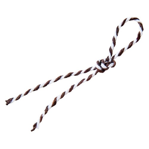 カラフルツインリボン−3/ブラウン 1巻×10