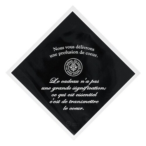 カンパーニュシューバッグ 100枚×5