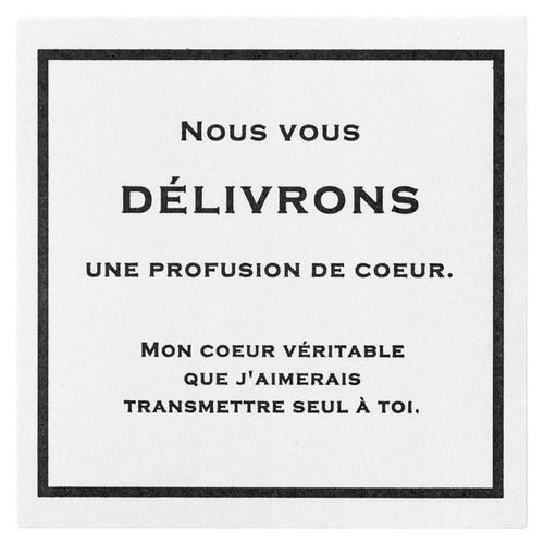 フィエルテシール−2 100枚×10