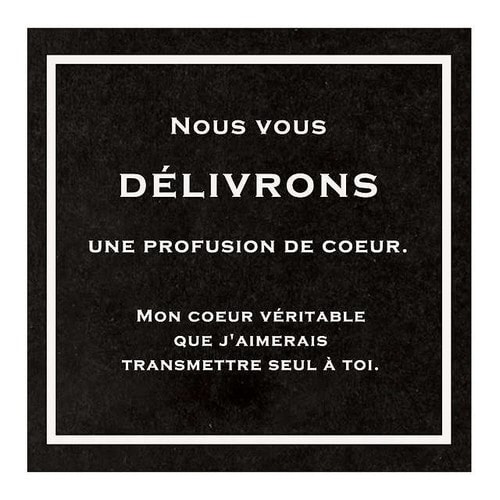 フィエルテシール−3 100枚×10