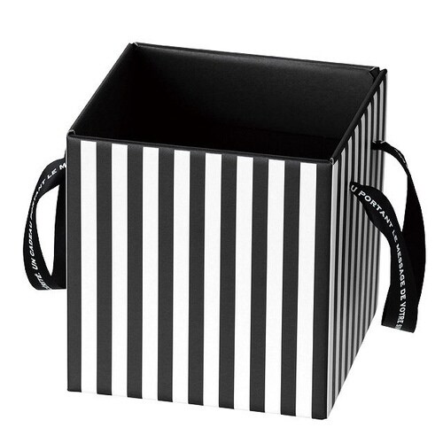 フィエルテリボンハンドルボックス−L 10枚