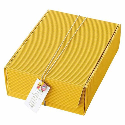 フルートギフトボックス−M/イエロー 10枚×2