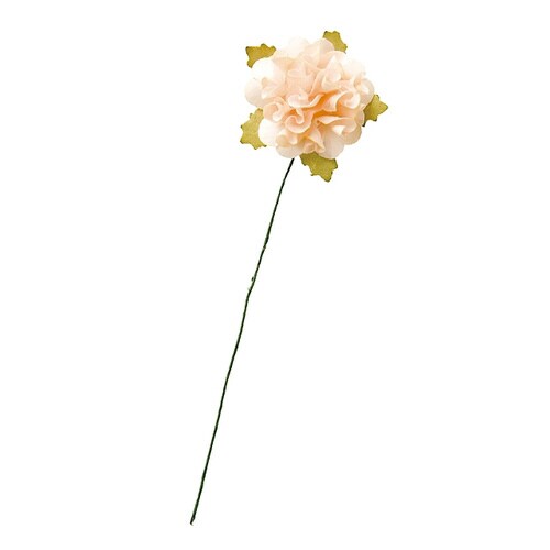 ペーパーカラフルフルリール−M/クリーム−10×5