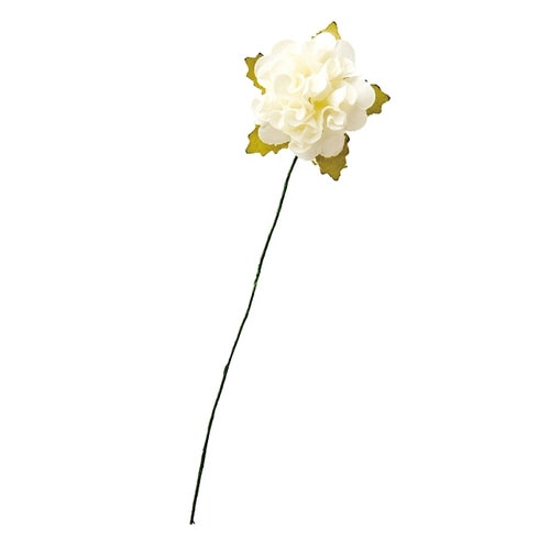 ペーパーカラフルフルリール−M/アイボリー−5×5