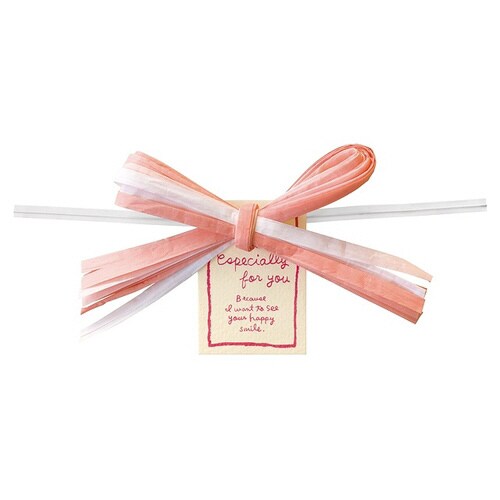 ペーパーラフィアワイヤータイ−1 10個×5