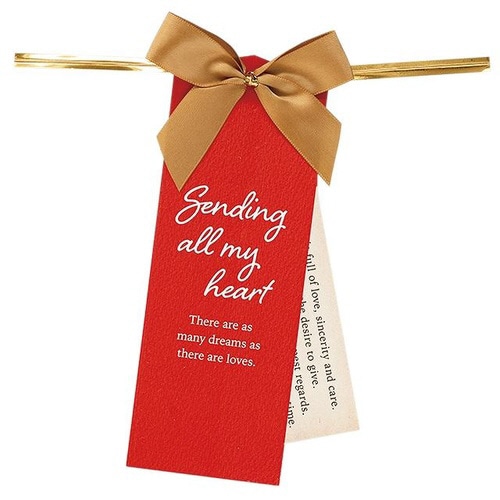 リボン付フォトプリントワイヤータイ−1 10個×5