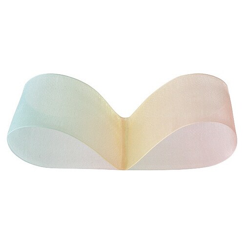 レインボーオーガンジーリボン−2 1巻×2