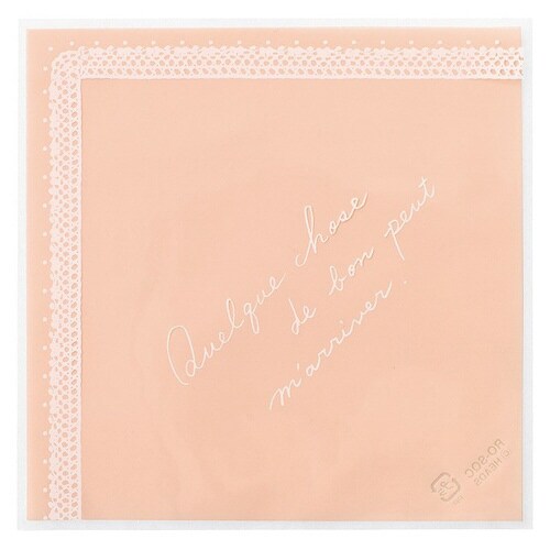 ロマンチックスイートシューバッグ 100枚×5