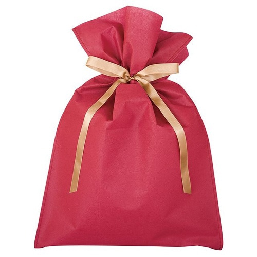 不織布リボン付バッグエンジ−L 10枚