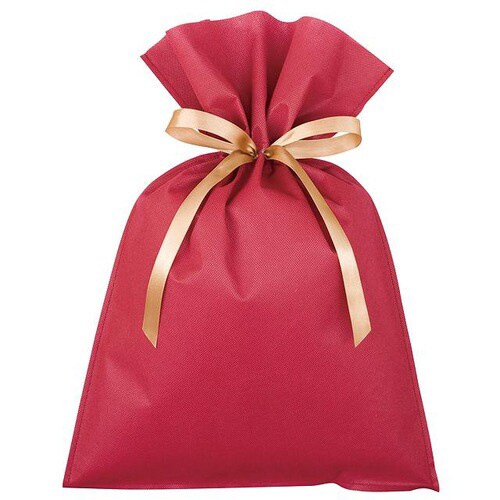 不織布リボン付バッグエンジ−M 10枚