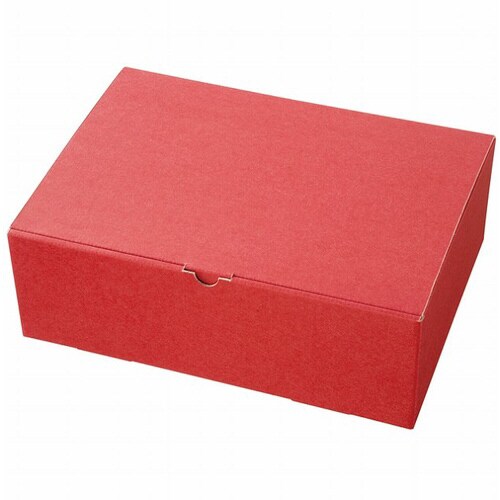 無地エンジギフトボックス−L1 10枚