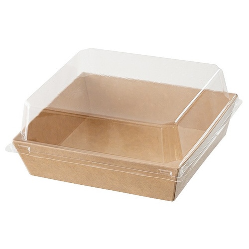 無地フタ付デリボックス/クラフト−1 50枚×2