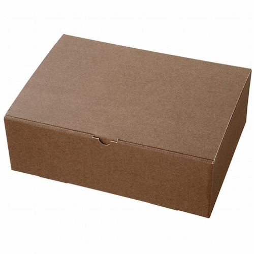 無地ブラウンギフトボックス−L1 10枚