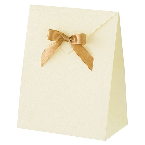 無地リボン付ペーパーバッグ−2/オフホワイト×20