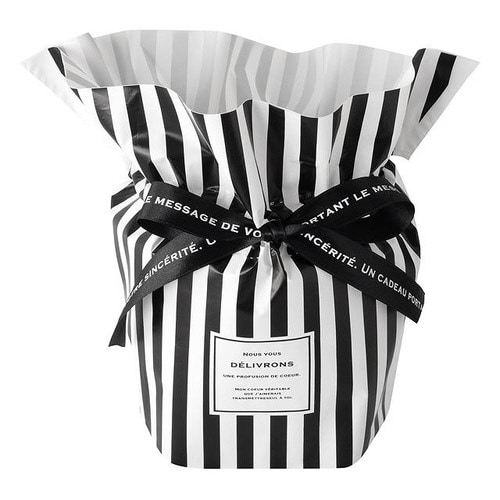 フィエルテリボン付ポットカバー−4 10枚×2