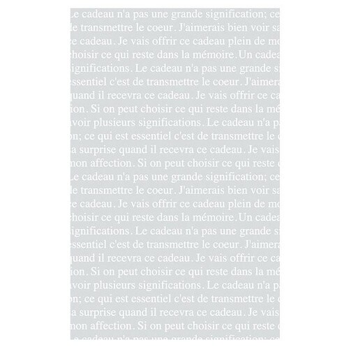 フレンチフロスト平袋−2 100枚×2