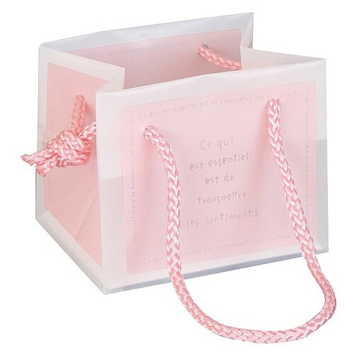 フロストキューブバッグ CBP−1B 20枚×2