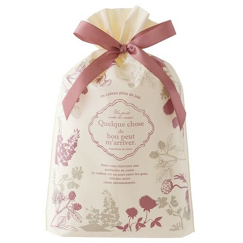 モダンリラックスリボン付PEギフトバッグ−S×2