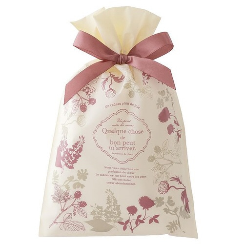 モダンリラックスリボン付PEギフトバッグ−SS×2