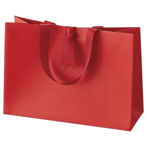 ギフトレッドハンドル付きペーパーバッグ−2 10枚