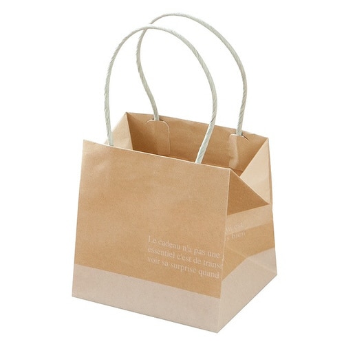 フレンチクラフトペーパーバッグ−5 10枚×2