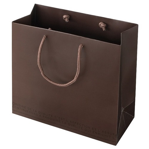 モダンギフトペーパーバッグ−3 10枚