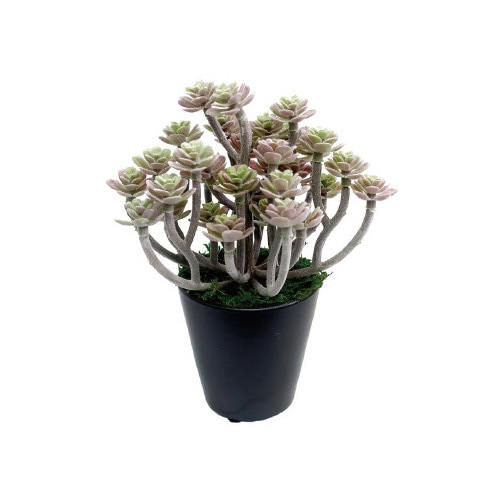 人工観葉植物パープルセダムミニサイズ