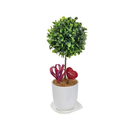 人工観葉植物ボックスウッドSサイズ