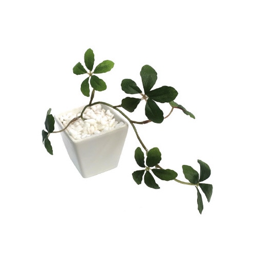 人工観葉植物シュガーバインWHTSサイズ