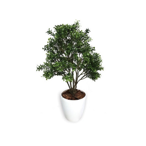 人工観葉植物ボックスウッドMサイズ