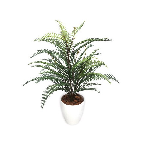 人工観葉植物タマシダMサイズ