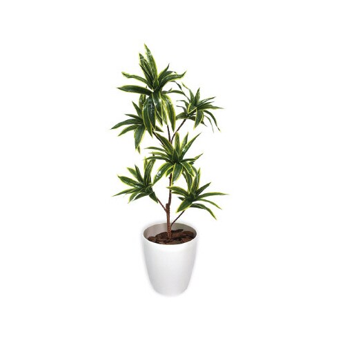 人工観葉植物ソングオブインディアMサイズ